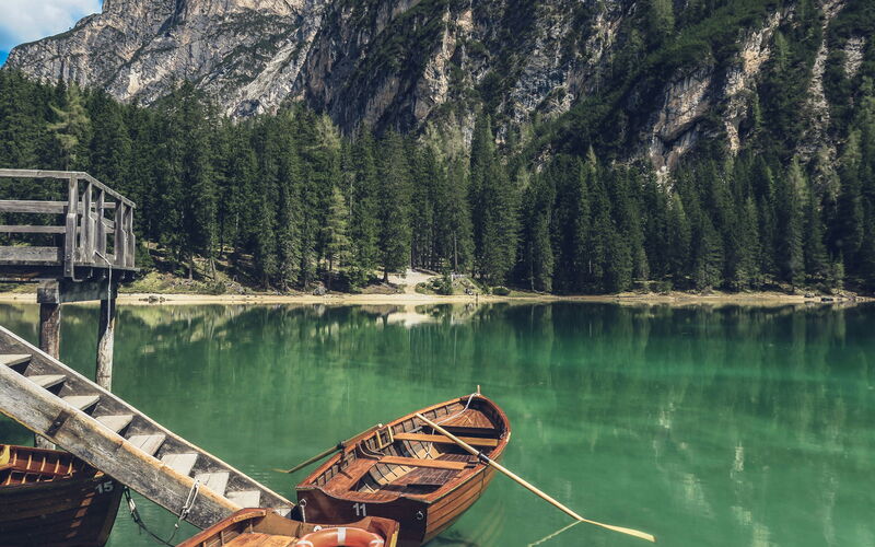 Mein alternativer Text